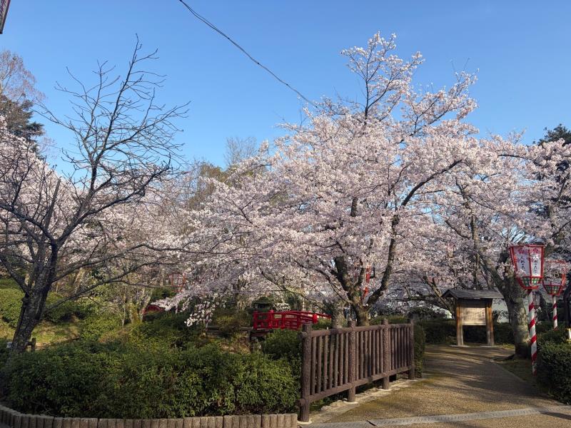 公園内の様子